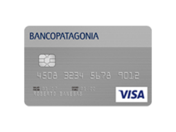 Patagonia Visa Classic