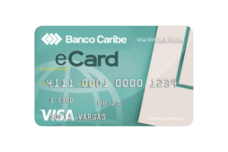 Visa e-Card
