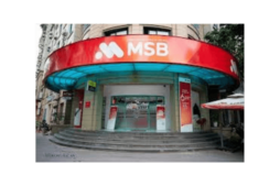 Consumer loans have collateral from MSB bank