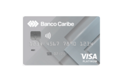 Visa Platinum