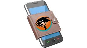 FNB eWallet 