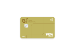 Tarjeta Premier Visa BI