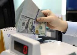 Online Fast Loan Vayvnd