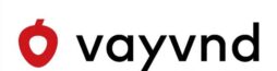 Online Fast Loan Vayvnd