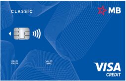 MB Visa Commerce