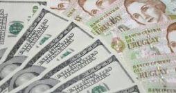 Prestámo Pronto+ Catapultate