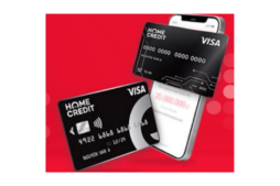 Home Credit Visa