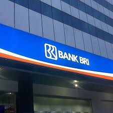 Bri Bank Briguna Talangan