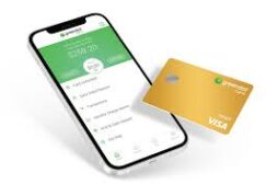 apply for the Green Dot Bank Visa prepaid card