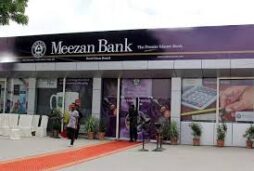 Meezan Bank profit scheme