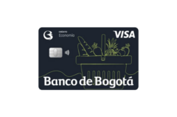 Bogotá Economía Visa