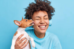 orçamento para pets