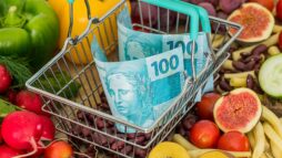 alimentação