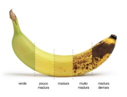 banana madura (1)
