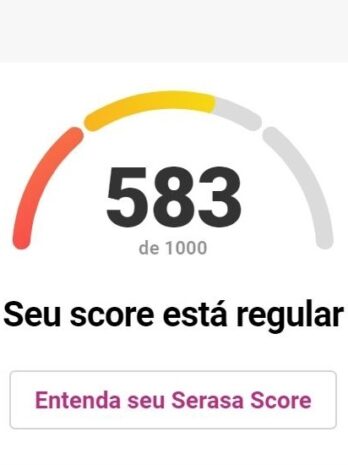 serasa score