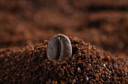 borra de café