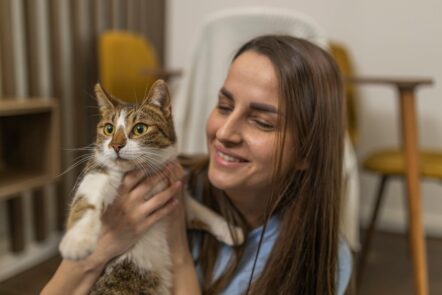 animal de estimação