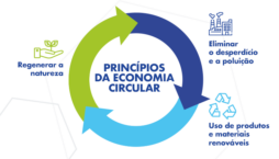 economia circular