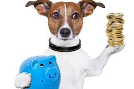 Gastos com cachorro