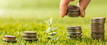 boa relação com o dinheiro