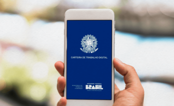 notificação (1)