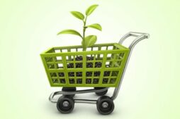 consumo sustentável