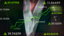 carteira antifrágil