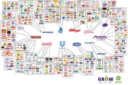 empresas que você consome