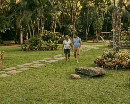 programação gratuita