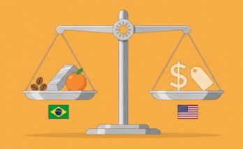 tarifas de importação