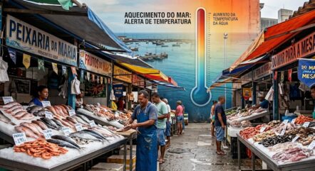 aquecimento dos oceanos